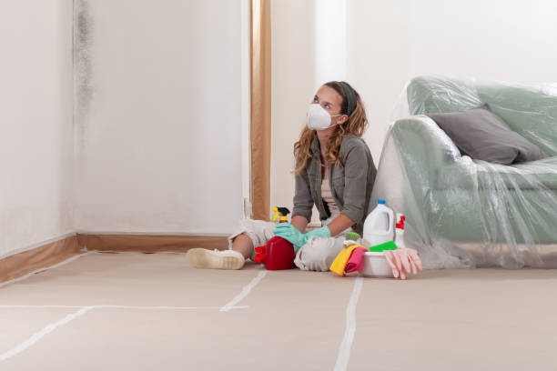 Reliable Mold Remediation contractor in Bridgeport, TX by Cheap Mold Removal
